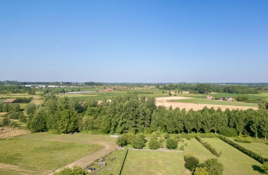 Niel 71 Suite - NIEL 71 Suite - De Pmgeving (vergroot foto)