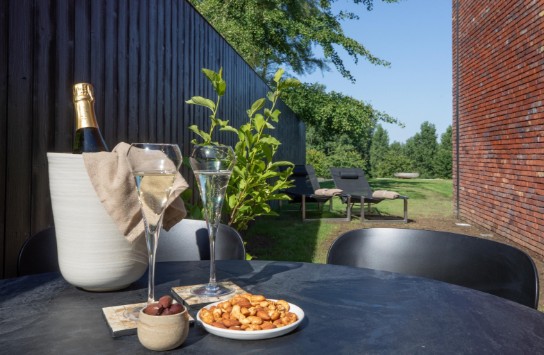Niel 71 Suite - NIEL 71 Suite - Terras en tuin (vergroot foto)