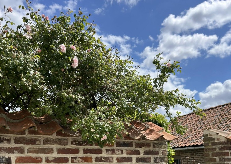 Maison Valérie - welkom! (vergroot foto)